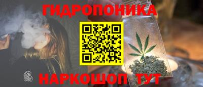 каннабис Кингисепп