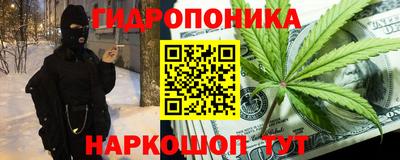 каннабис Кингисепп