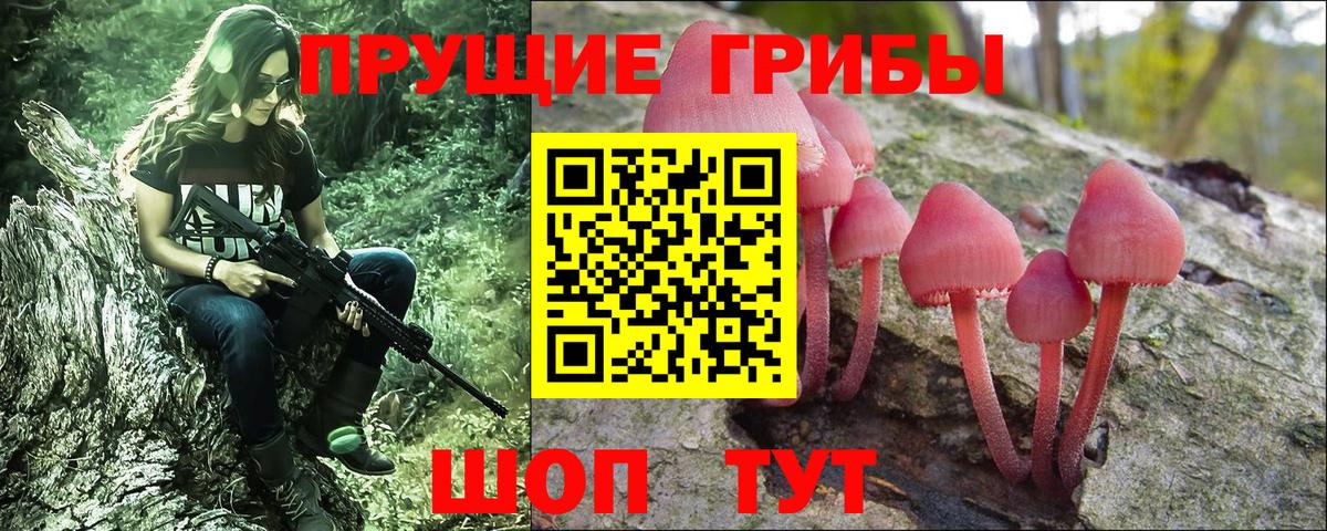 Псилоцибиновые грибы прущие грибы  Псилоцибиновые грибы Psilocybine cubensis  Вход с VPN  Чебоксары 