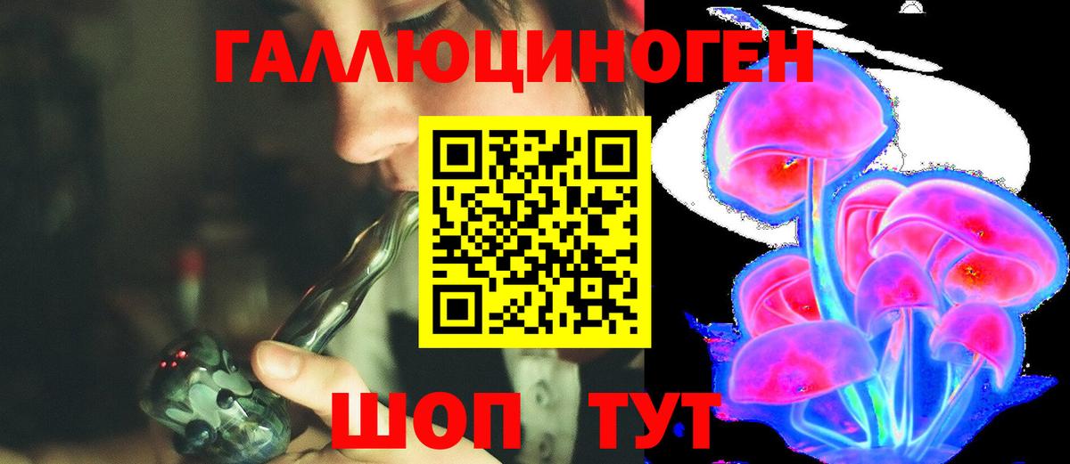 Галлюциногенные грибы Cubensis Чебоксары